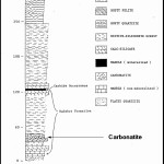 Carbide - web-section Carbide - web-section