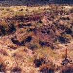 Castle Springs Mine - Trenching Test Area Castle Springs Mine - Trenching Test Area
