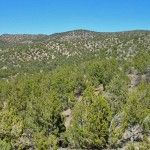 Lookout Mountain - fig2 Lookout Mountain - fig2