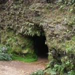 Ojo Verde - 5