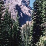 Paradise Mine - along-the-access-road