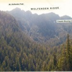 Wolfenden -  FROM NORTHWEST