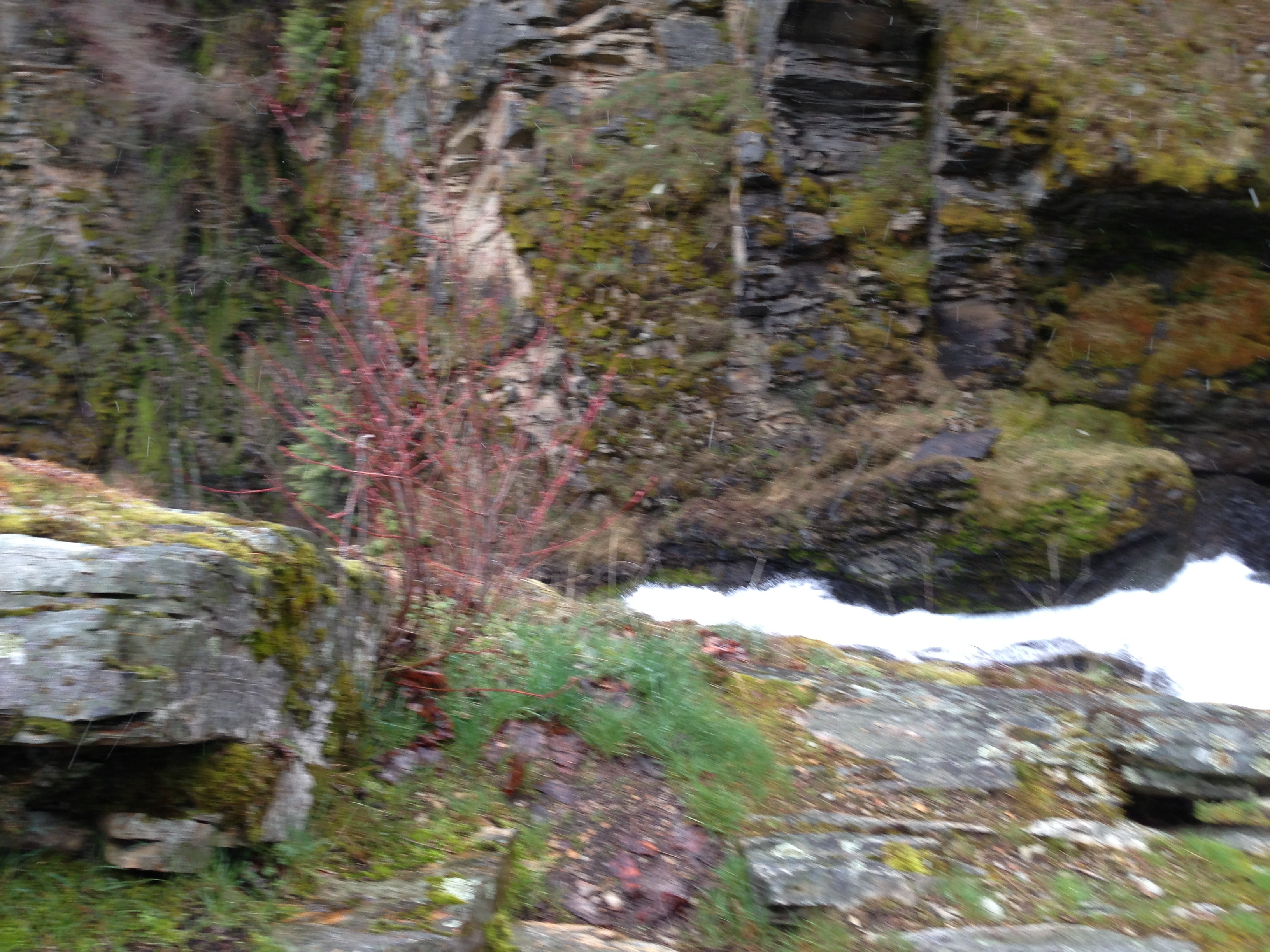 Montana Gold Placer Mines For Sale