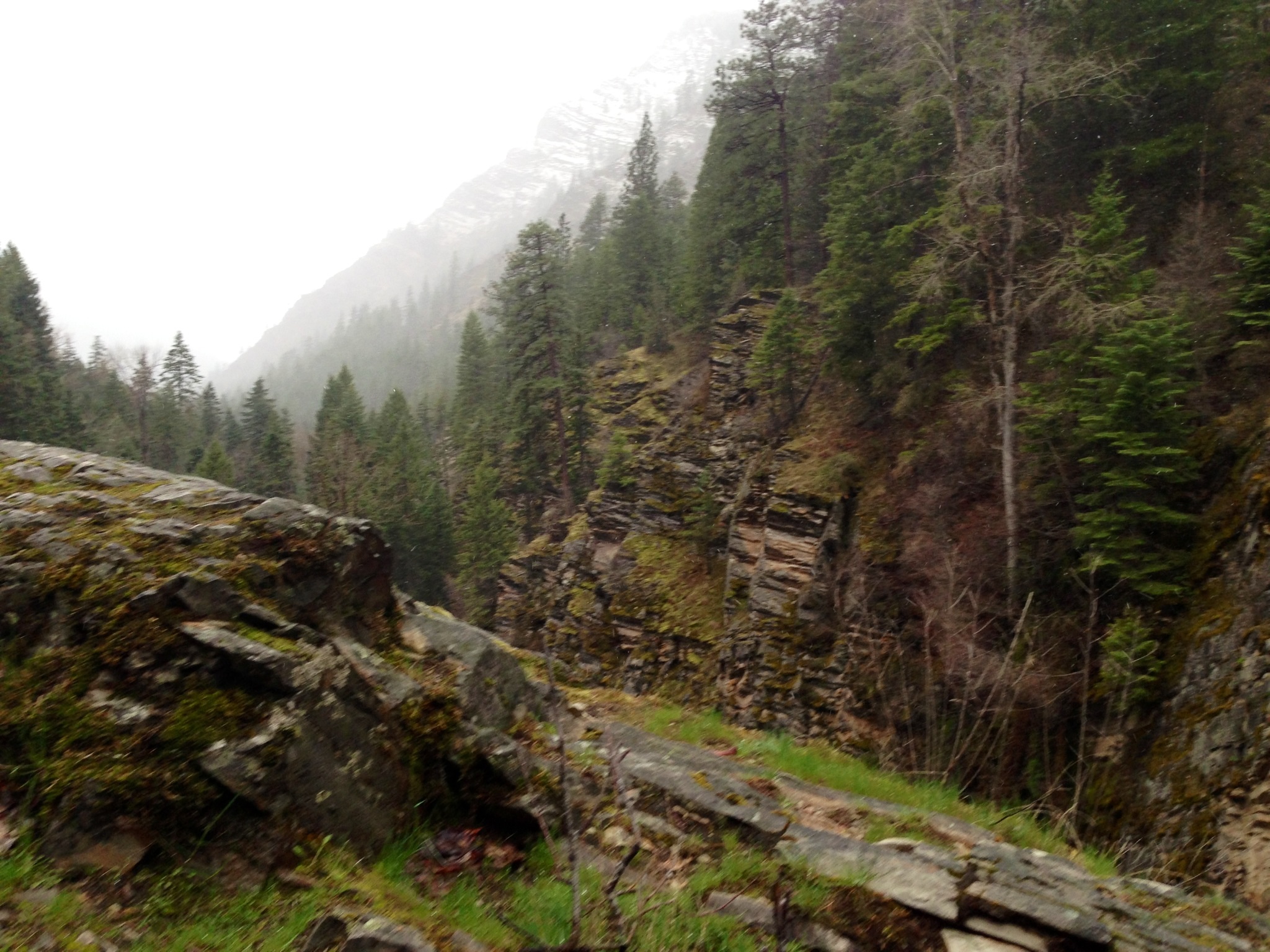 Montana Gold Placer Mines For Sale