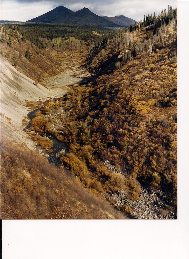 Mosquito Creek