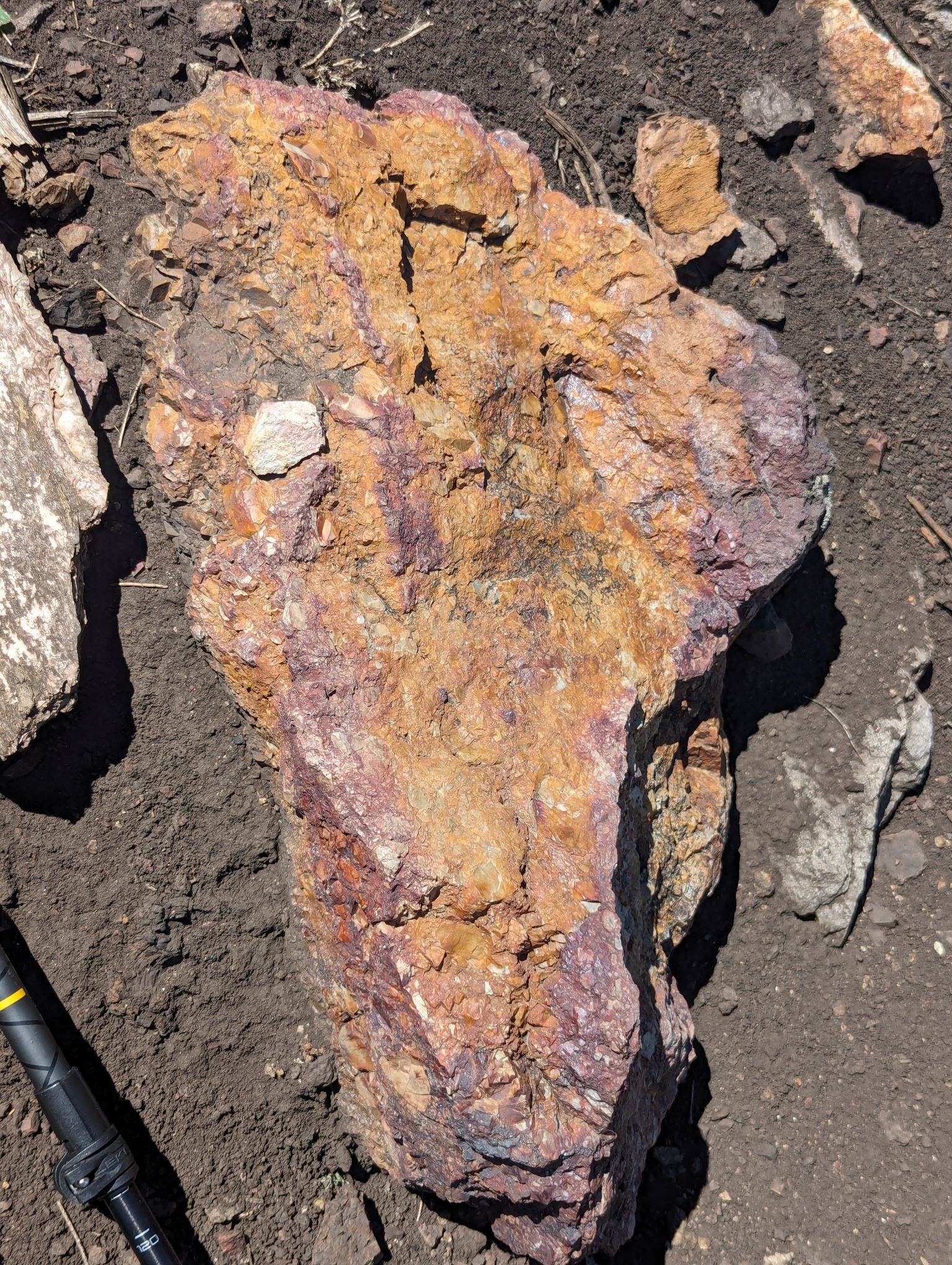 Great Western, New Mexico Gold Project