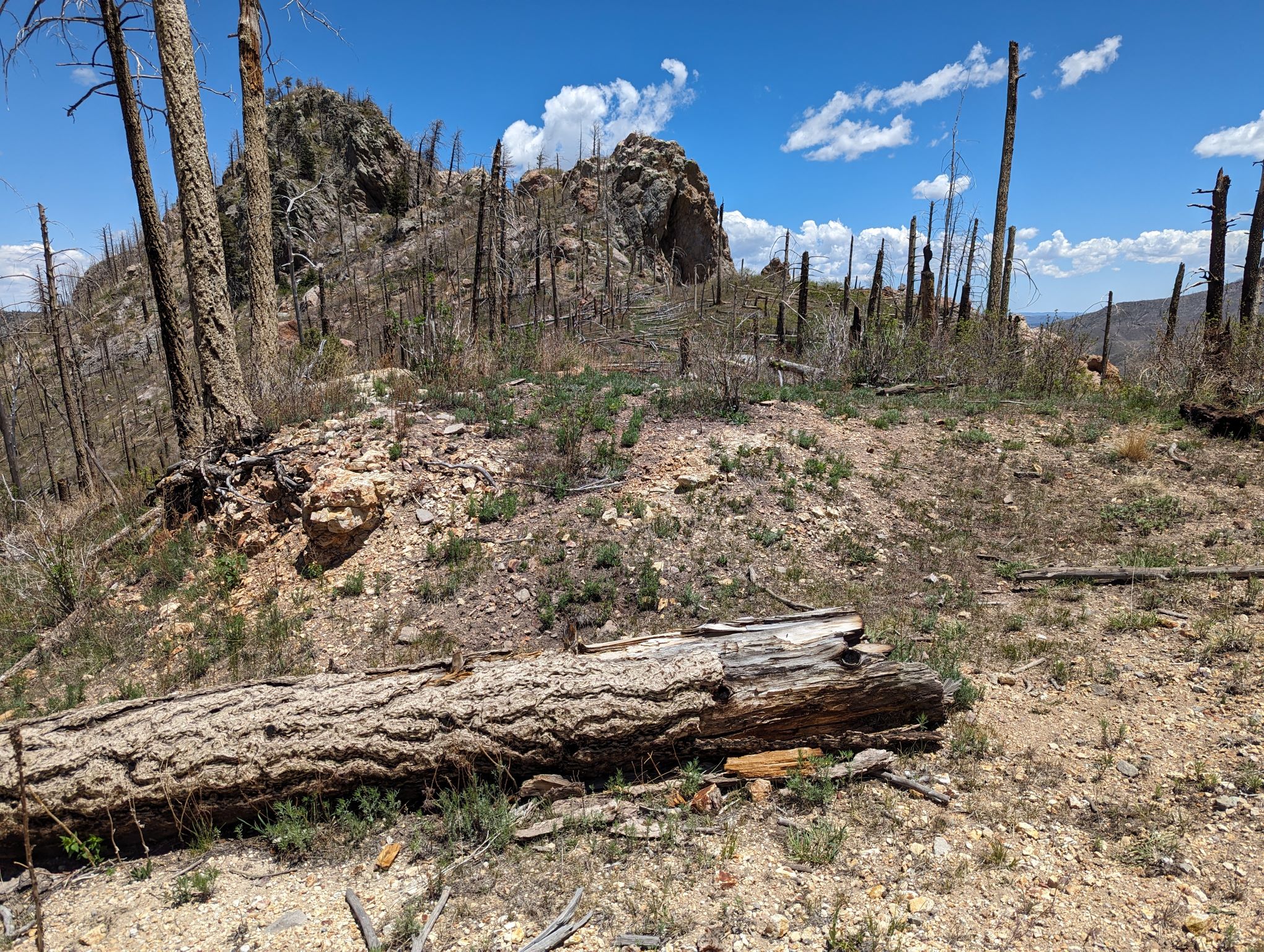 Great Western, New Mexico Gold Project - Photo 2