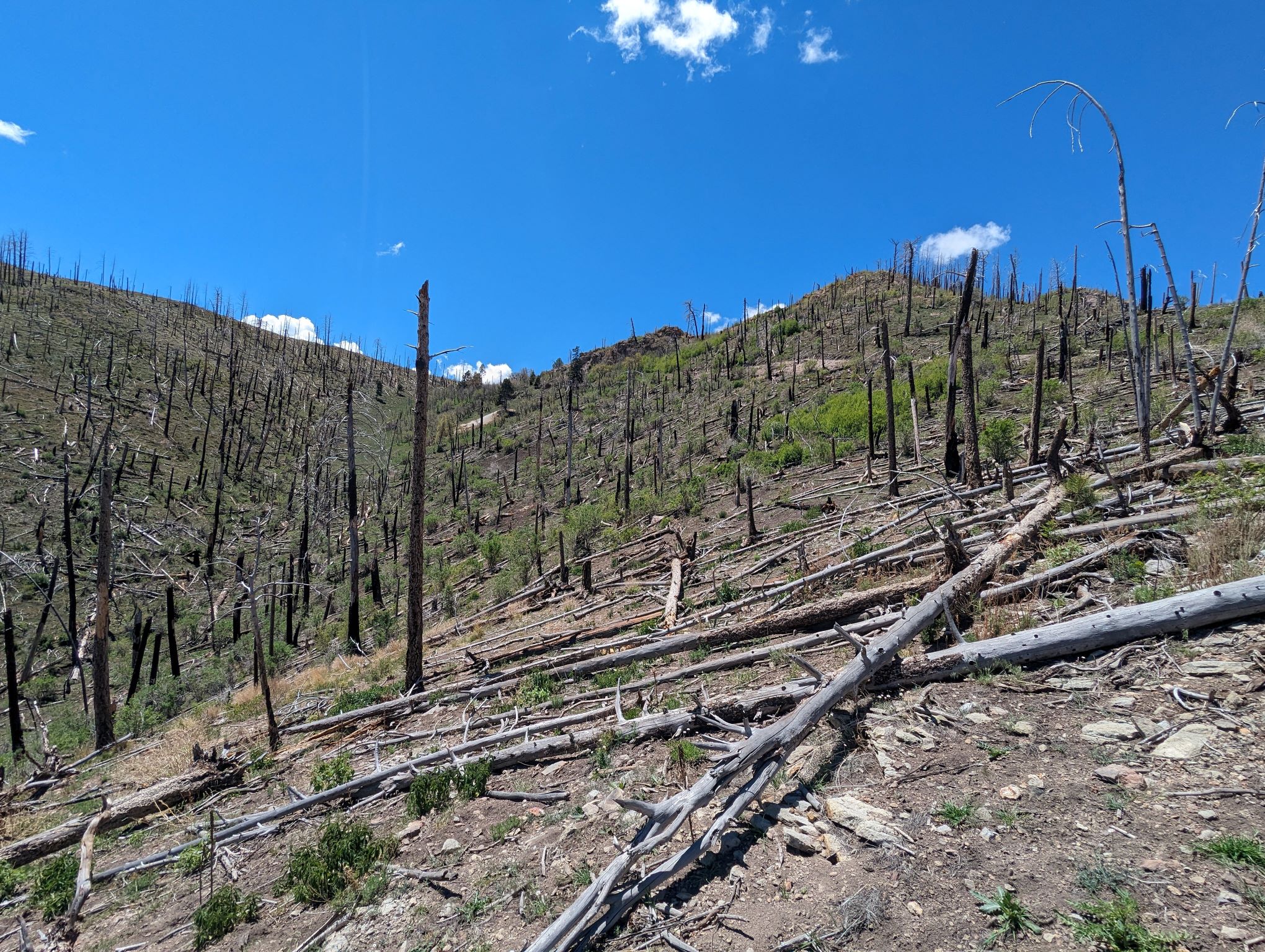 Great Western, New Mexico Gold Project - Photo 4