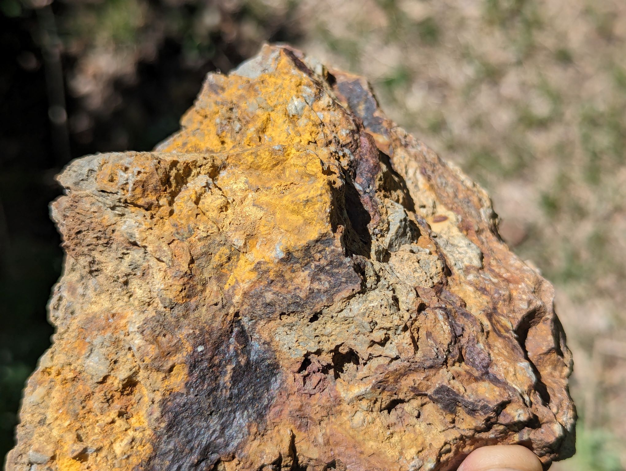 Great Western, New Mexico Gold Project - Photo 6