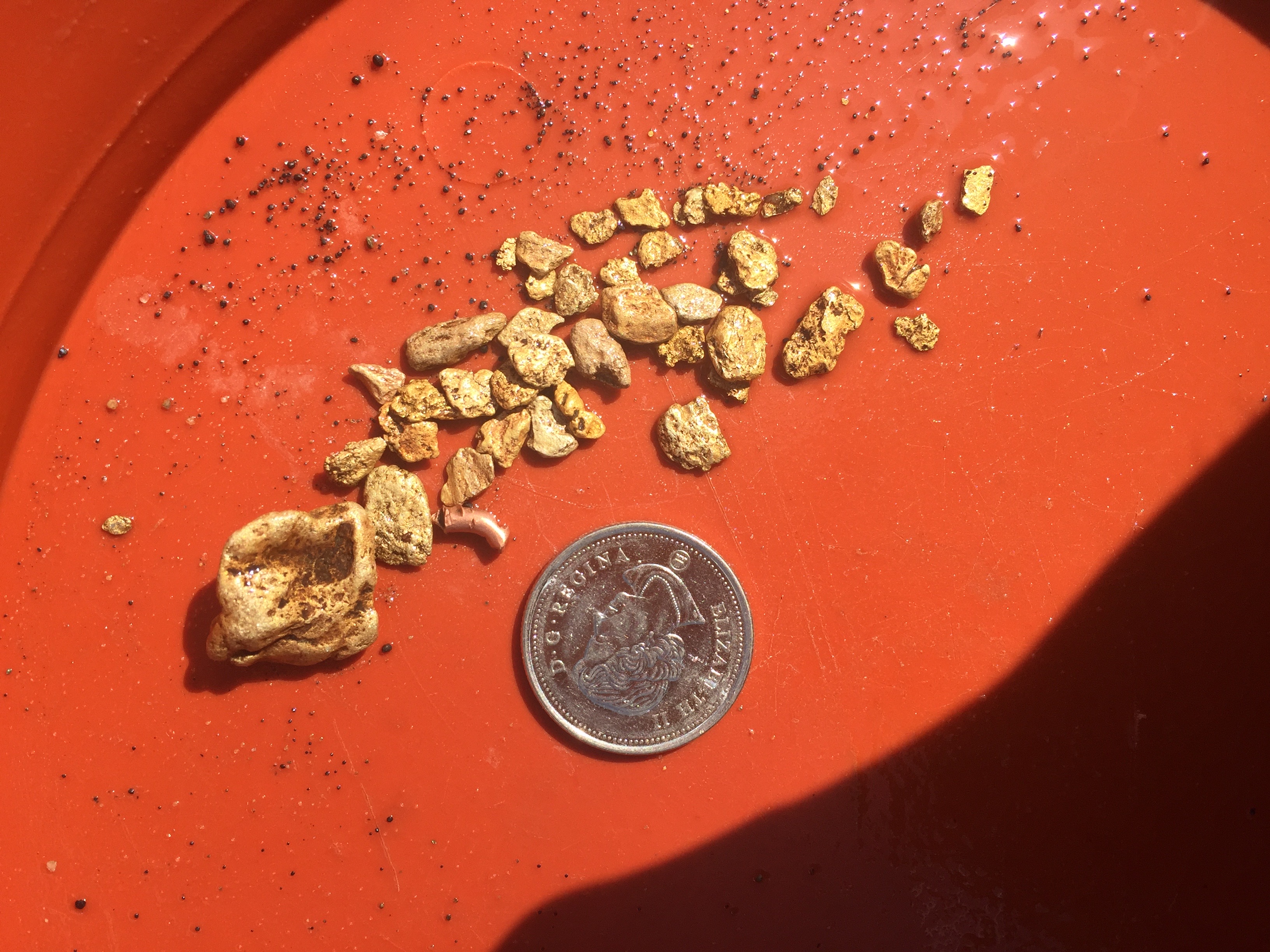 Carmack Fork Gold Mine