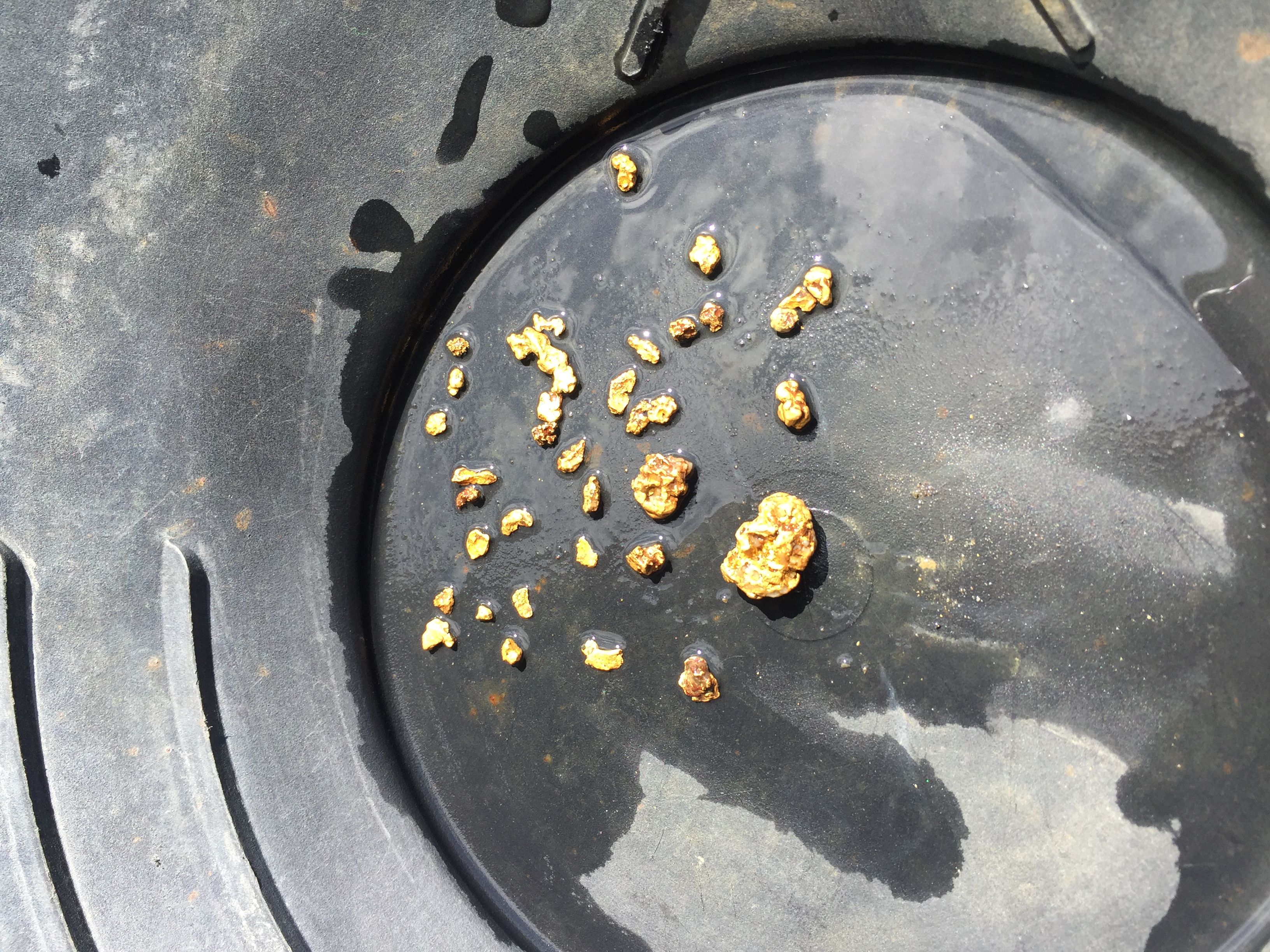 Upper cache creek, Alaska - Photo 2