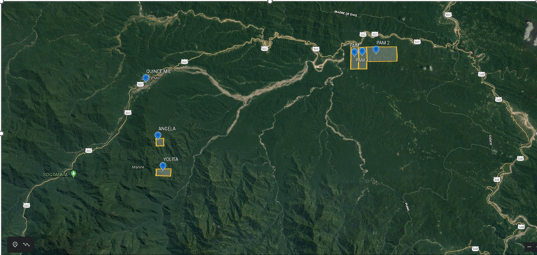 Gold mining properties in Peru - Qincemil