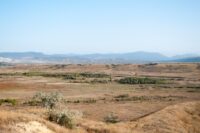 BHP Secures $4.3 Billion Silver Streaming Deal with Wheaton Precious Metals