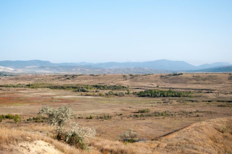 Silver Streaming Deal - BHP Secures $4.3 Billion Silver Streaming Deal with Wheaton Precious Metals