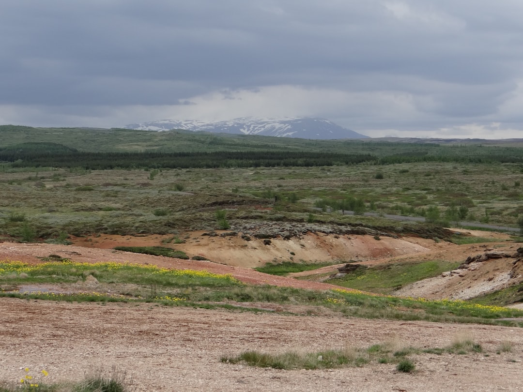 Hycroft Mining Silver - Hycroft Mining's High-Grade Silver Discovery Fuels Investor Excitement Amidst Gold's Surge