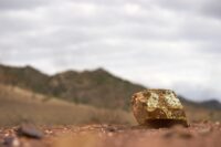 Palladium Plummets Nearly 9% in February Amid Shifting Automotive Demand and Easing Geopolitical Tensions