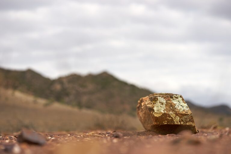 Palladium price decline - Palladium Plummets Nearly 9% in February Amid Shifting Automotive Demand and Easing Geopolitical Tensions