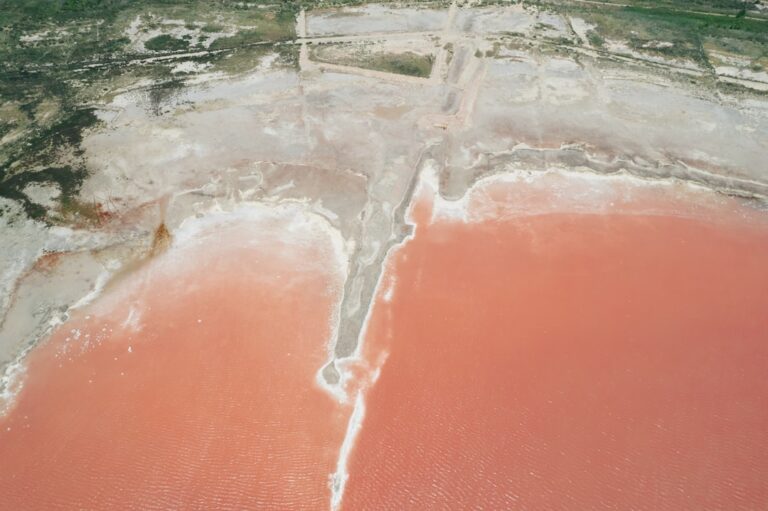 Cobalt Price Surge - "Cobalt Prices Surge Amid DRC Export Delays, Industry Faces Growing Supply Squeeze