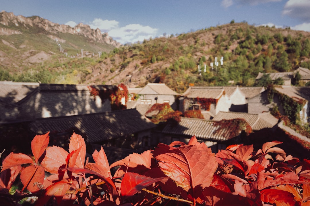 Copper Prices Surge - Copper Prices Surge Amid Supply Concerns and Strong Demand from China