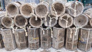 GoldMining Inc. exploration - GoldMining Inc. Launches Ambitious 8,000-Metre Drill Program at São Jorge, Boosts Stock by 4.5%