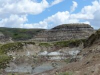 Tailings Management Standards - ICMM Reports 67% Conformance with Global Tailings Management Standards Amid Rising ESG Pressures
