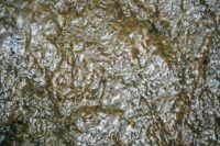 Lithium Prices Dip Amid 40% Decline in BYD EV Sales, Pressuring Market Dynamics