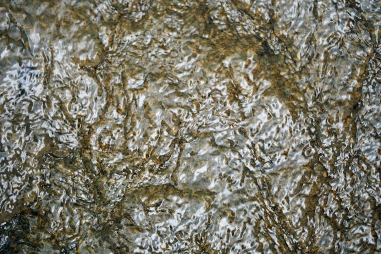 Lithium Prices Decline - Lithium Prices Dip Amid 40% Decline in BYD EV Sales, Pressuring Market Dynamics