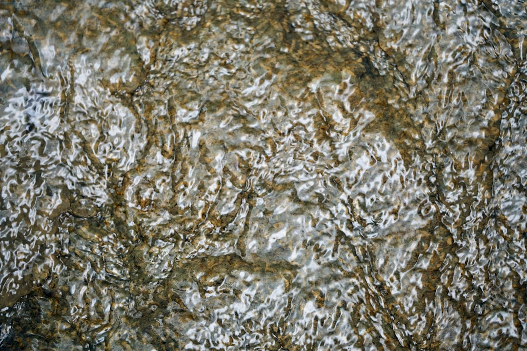 Lithium Prices Decline - Lithium Prices Dip Amid 40% Decline in BYD EV Sales, Pressuring Market Dynamics