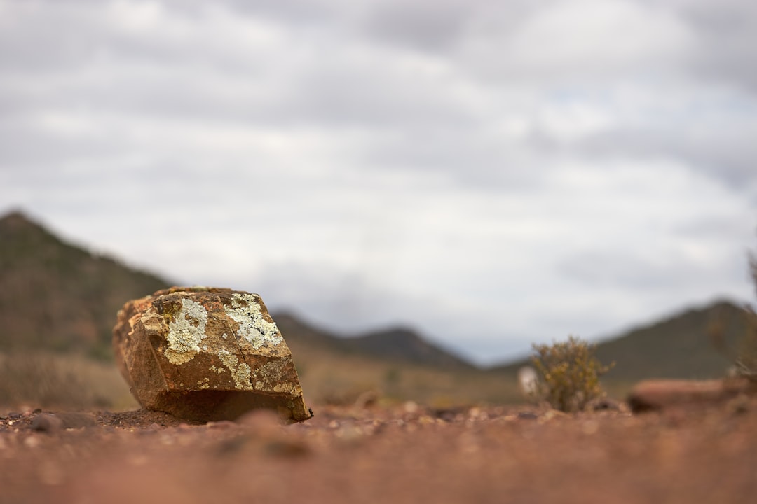 Orla Mining feasibility study - Orla Mining Unveils New Feasibility Study, Aiming to Boost Annual Production to 500,000 oz