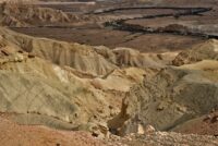 Palladium Surges 5.58% on Short-Covering Rally Amid Supply Concerns