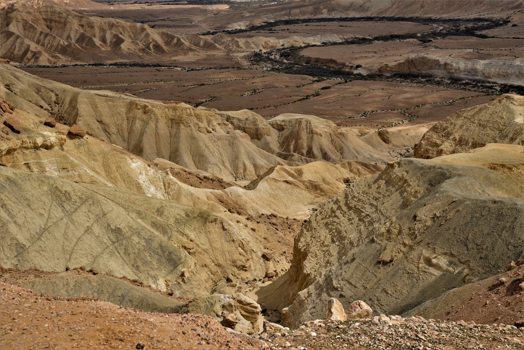 Palladium Price Surge - Palladium Surges 5.58% on Short-Covering Rally Amid Supply Concerns