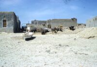 Teck Resources Sets New Benchmark with 3:1 Biodiversity Conservation Ratio