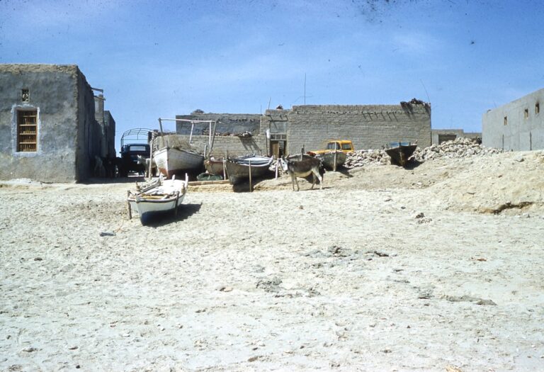 biodiversity conservation mining - Teck Resources Sets New Benchmark with 3:1 Biodiversity Conservation Ratio