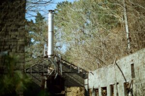 biodiversity conservation mining - Teck Resources Sets New Benchmark with 3:1 Biodiversity Conservation Ratio