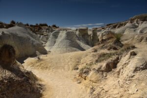 Tesla Rivian Gigafactory - Tesla and Rivian Announce Joint Gigafactory, Spurring Lithium and Cobalt Market Reactions