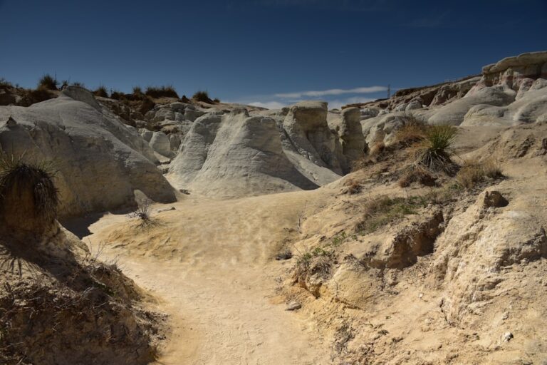 Tesla Rivian Gigafactory - Tesla and Rivian Announce Joint Gigafactory, Spurring Lithium and Cobalt Market Reactions