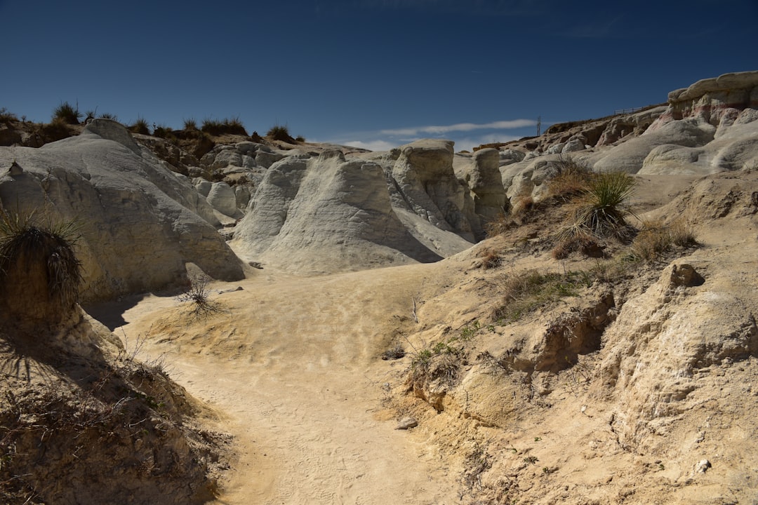 Tesla Rivian Gigafactory - Tesla and Rivian Announce Joint Gigafactory, Spurring Lithium and Cobalt Market Reactions