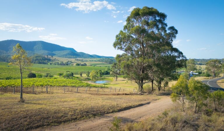 G Mining’s Acquisition of G2 Goldfields at $3 Billion CAD Marks Major Shift in Mining Landscape