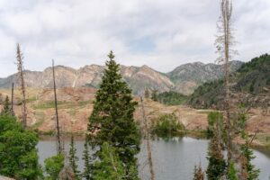 Green Minerals ESG - Green Minerals' ESG Success: Aligning with UN Goals Drives Investor Interest