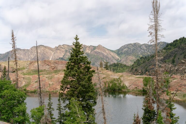 Green Minerals’ ESG Success: Aligning with UN Goals Drives Investor Interest