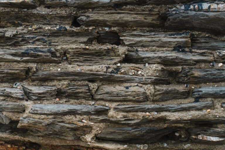 Maple Gold Mines Unveils Striking High-Grade Results at Joutel South