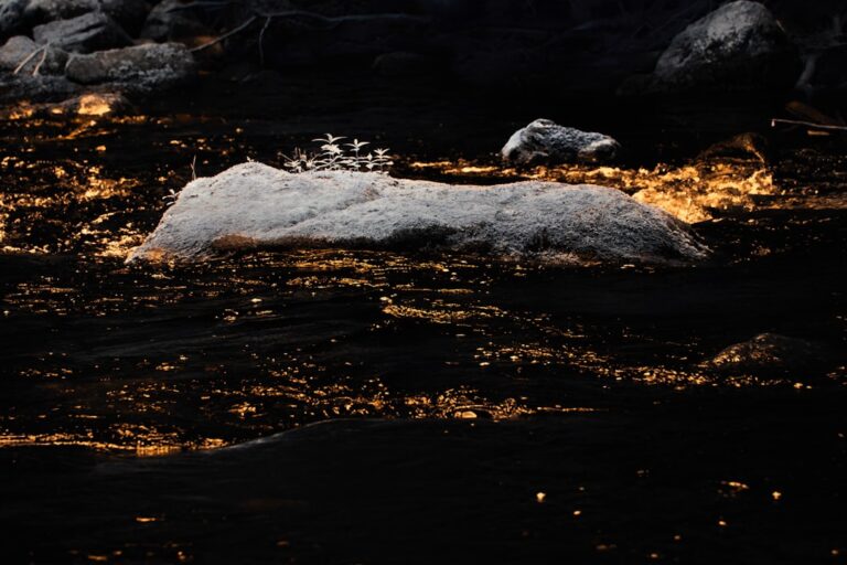 Platinum Prices Surge 5% as South African Power Crisis Intensifies