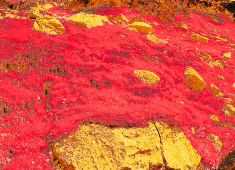 Platinum Soars 30% as South African Supply Tightens