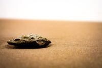 Platinum Price Surge - Platinum Surges Nearly 5% Amid South African Supply Concerns