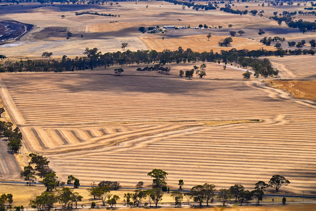 Nevada gold exploration - Record Exploration Budgets Signal Growing Confidence in Nevada's Gold Prospects