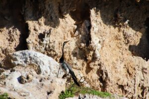 Serabi Gold resource expansion - Serabi Gold's Resource Expansion at Palito Complex: A Major Leap Forward