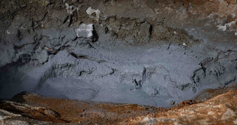 Tesla’s $1.2 Billion Lithium Supply Deal with Albemarle Sparks Market Excitement