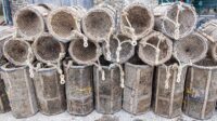 Amex Exploration Unveils Positive Feasibility Study for Perron Gold Mine Development