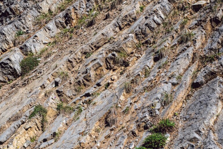 Goliath Resources Gold Discovery - Goliath Resources Uncovers 19.13 g/t Gold Over 6.10 Meters as Drilling Campaign Concludes