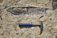 Lode Gold Unveils Major Resource Estimate at Fremont Gold Mine